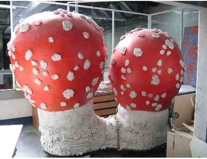3 kaschierte Pilze